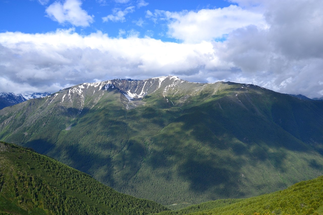 Горный Алтай, подножие г.Белухи (4506 м.)
