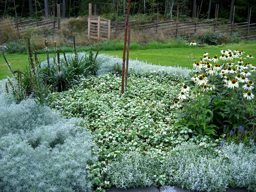 wild-garden-inspiration-herbs6.jpg wild-garden-inspiration-herbs6.jpg