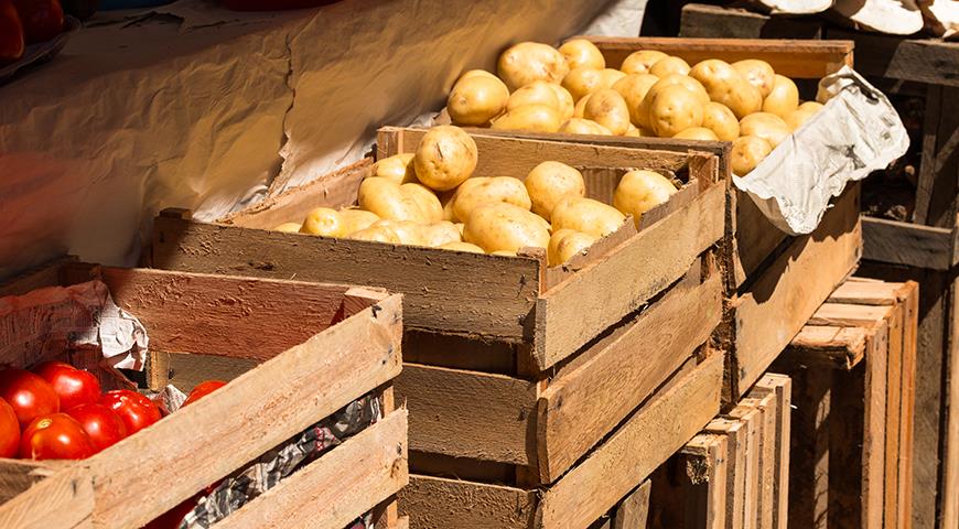 Почему картошка стала сладкой и можно ли ее есть картофель, картофеля, хранить, чтобы, холодильнике, следует, температуре, хранения, условиях, картофеле, только, месте, время, картошка, приготовления, приводит, например, инвертазы, хранение, после
