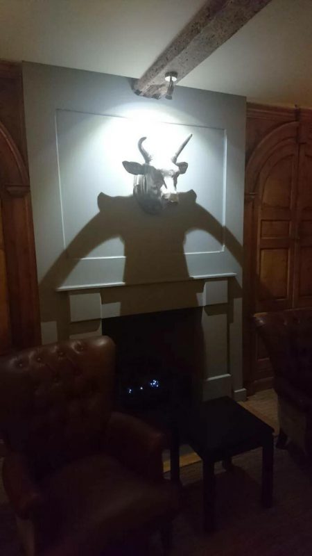 Фотография: 30 фото забавных теней, которые похожи на что-то другое №27 - BigPicture.ru