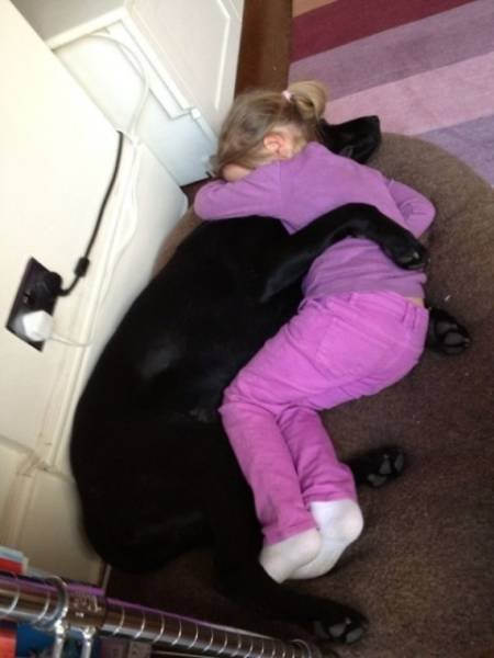 Дети и собаки — лучшие друзья навеки! 