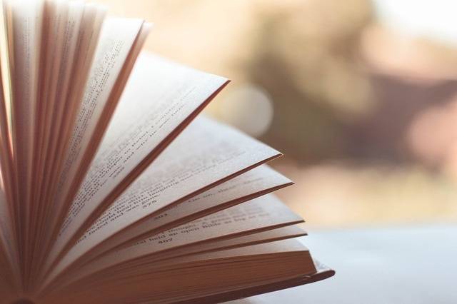 Около 50 книгоиздателей приняли участие в Международном книжном фестивале «Литературный Сочи»
