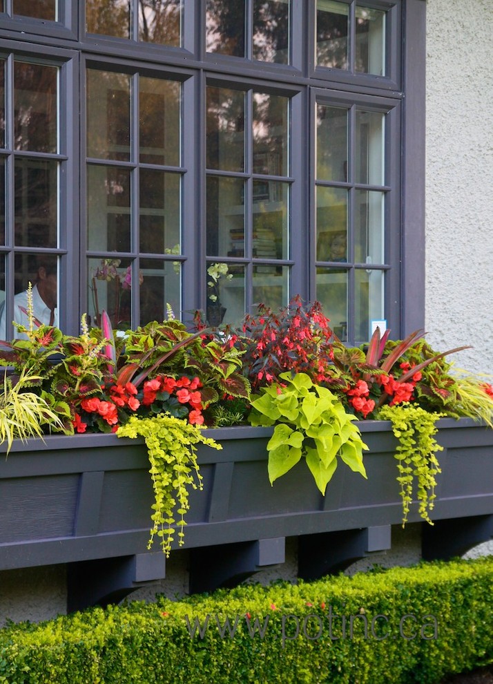 Вопрос: Как разбить сад за окном в цветочнице дача,комнатные растения,сад и огород