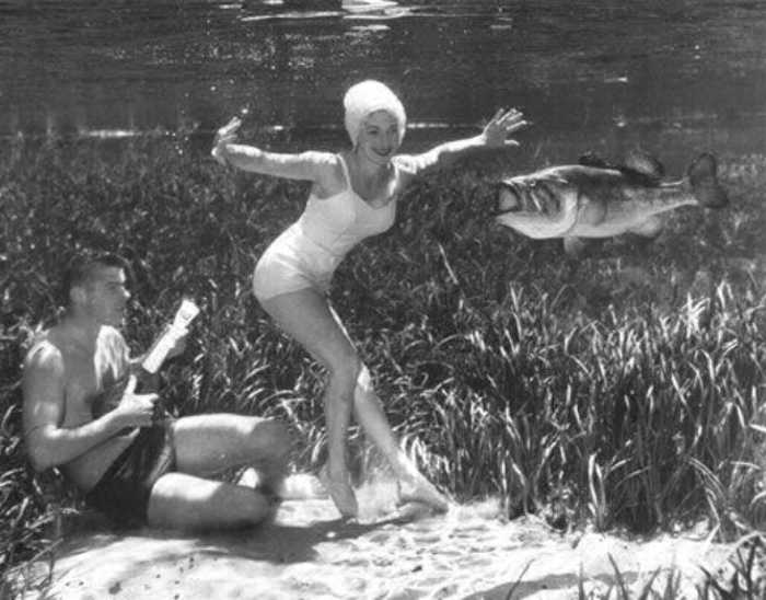 Как делали подводные фотографии 80 лет назад: Снимки, которые переносят в фантастический мир Сильвер, Мозерт, Спрингс, чтобы, настолько, сделать, водой, можно, источников, работы, американский, туристов, снимки, картинку, экспериментировал, которого, кроме, картинка, серию, всего