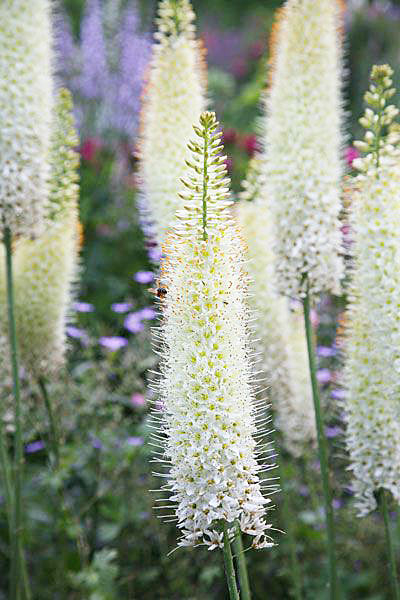 1887_2 (400x600, 194Kb)