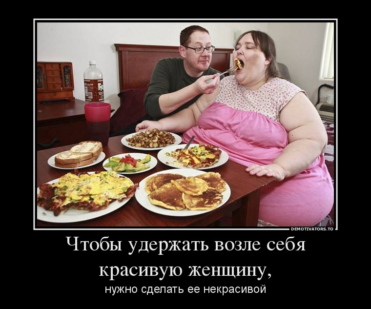 Приколы над толстыми картинки