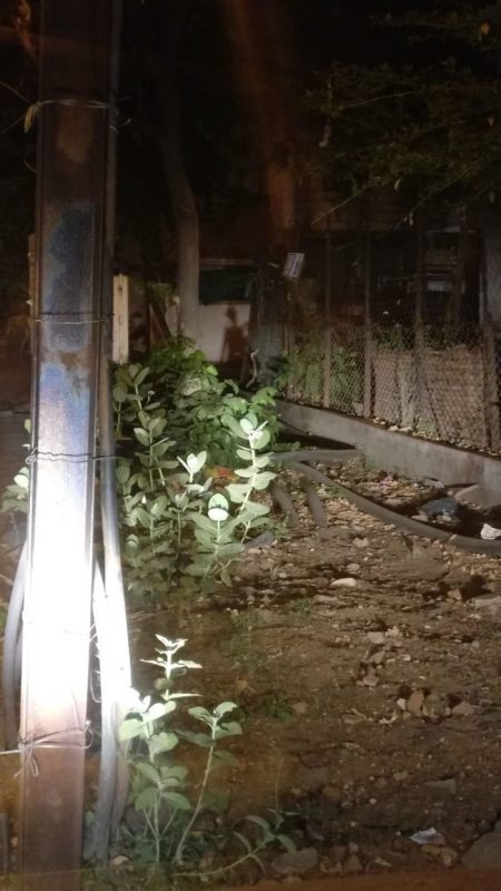 Фотография: 30 фото забавных теней, которые похожи на что-то другое №14 - BigPicture.ru