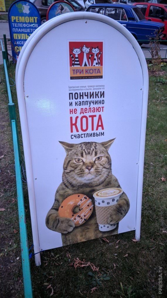 Смешные объявления и реклама Смешные объявления и реклама