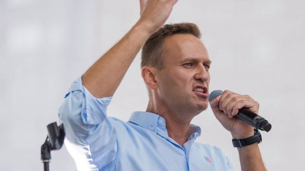 В Общественной палате рассказали, почему именно Навальный стал агентом США 