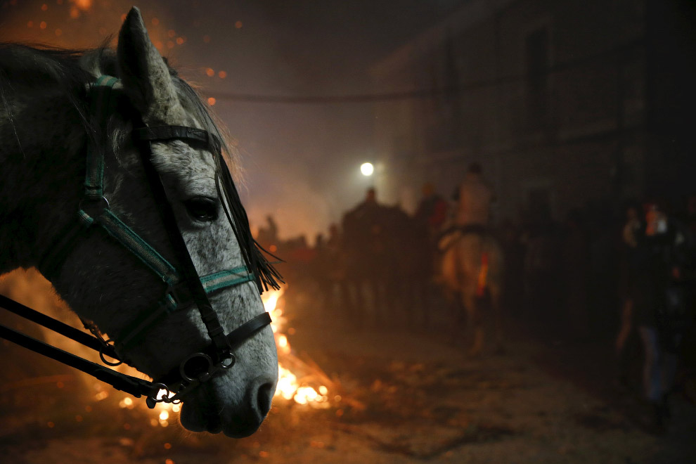 Огонь и лошади: День святого Антонио-2016