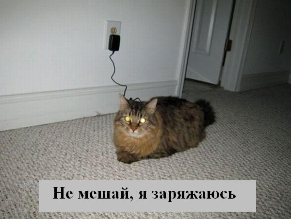 Мысли :) (50мыслей)