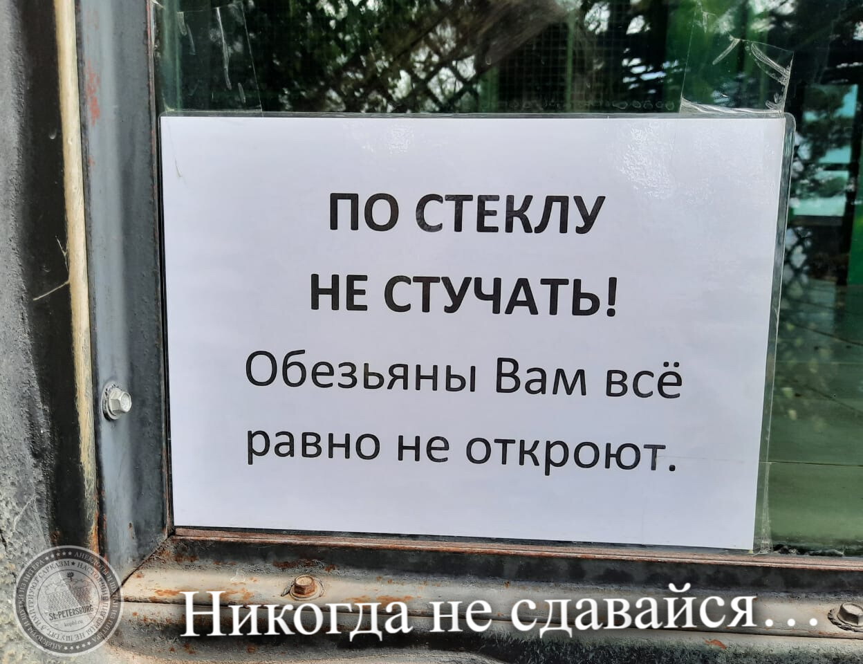 Никогда не сдавайся