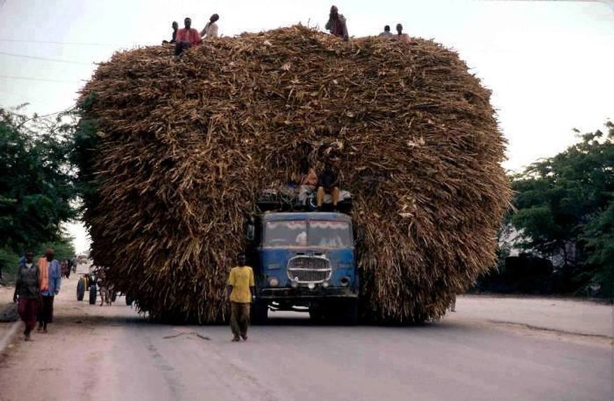 3. Африка перевозка грузов, прикол, транспорт, юмор