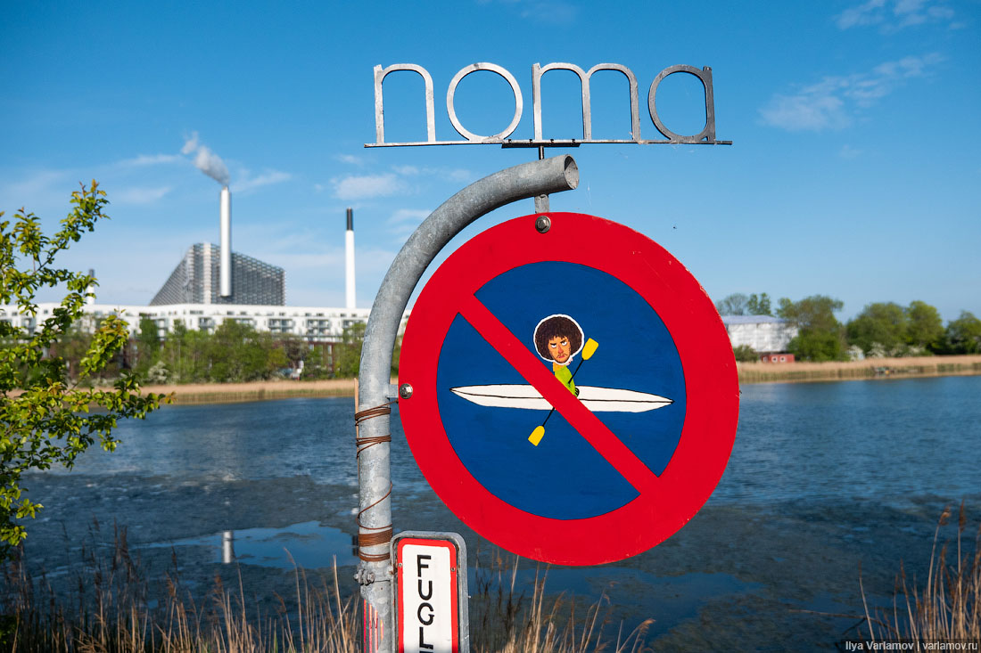 Лучший ресторан мира: рыбий пузырь, муравьи и кожа в шоколаде