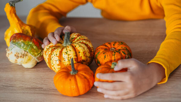 Осенняя композиция из тыквы - свежие новости на Toplenta