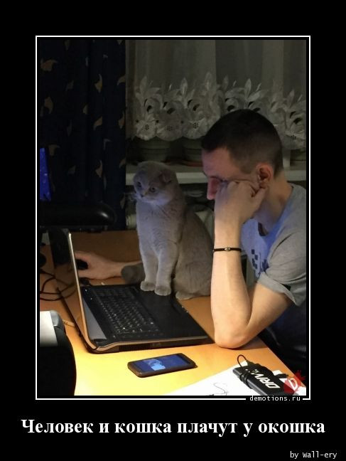 Демотиваторы в середине недели: «Вчера здесь было три кабачка» 