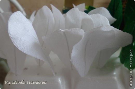 Мастер-класс Поделки электрические Флористика искусственная День рождения Бумагопластика Моделирование конструирование МК МАГНОЛИИ в технике кристальных цветов Бумага гофрированная фото 18