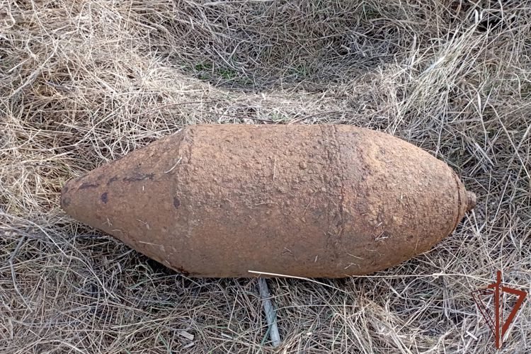 На Кубани в лесополосе рабочие нашли авиабомбу: 100 килограмм взрывчатого вещества