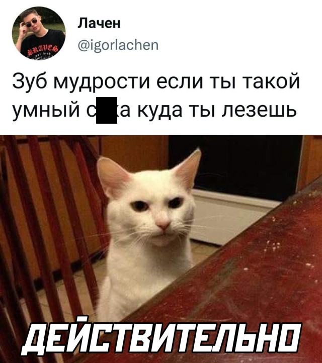 Подборка прикольных картинок Подборка прикольных картинок приколы,смешные картинки,юмор