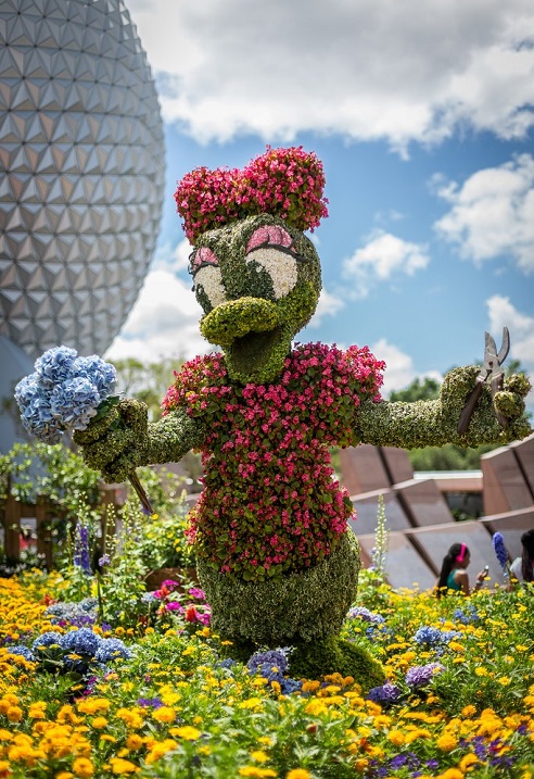 Топиар — зеленое искусство фигурной стрижки  природа