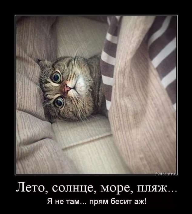 Юмор из интернета 612 Юмор из интернета 612 позитив,смех,улыбки,юмор