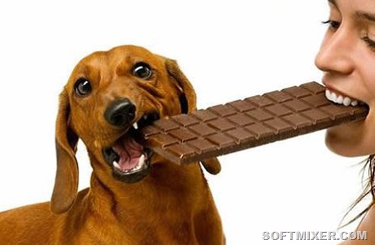 chocodog