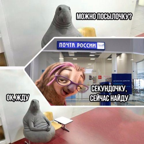 Смешные фотомемы Смешные фотомемы