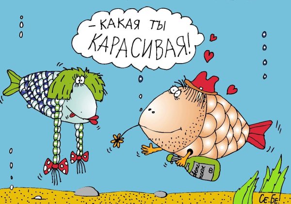 Рыбка моя смешные картинки, кожаной свадьбой открытка