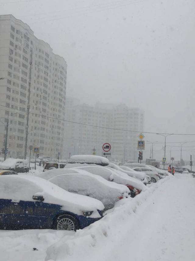 Синоптики рассказали, что ждать от погоды москвичам в эти выходные