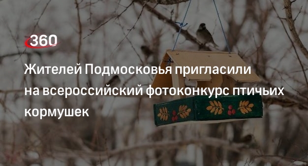 Жителей Подмосковья пригласили на всероссийский фотоконкурс птичьих кормушек