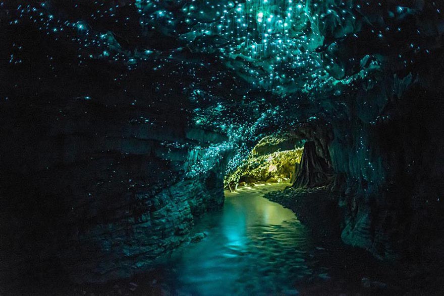 4. Пещера светлячков, Новая Зеландия земля, красота, планета, природа