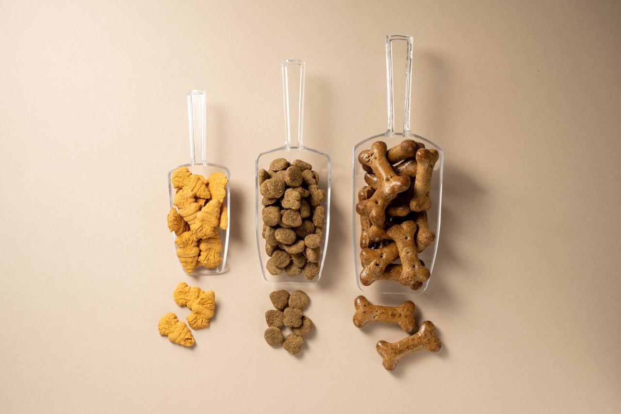 Как подружить кошку и собаку: пошаговый гид для владельцев чтобы, кошки, питомца, животных, собаки, может, питомцев, кошка, только, важно, стоит, возможность, животные, собака, животного, должен, живет, должны, могут, время