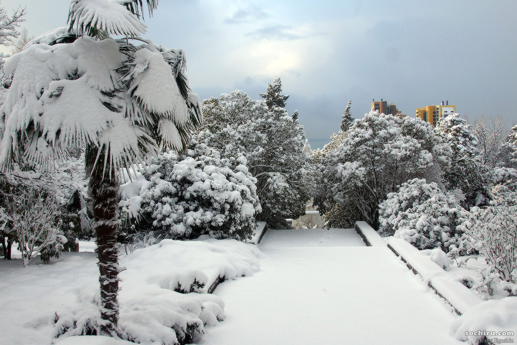 Парк Дендрарий под снегом