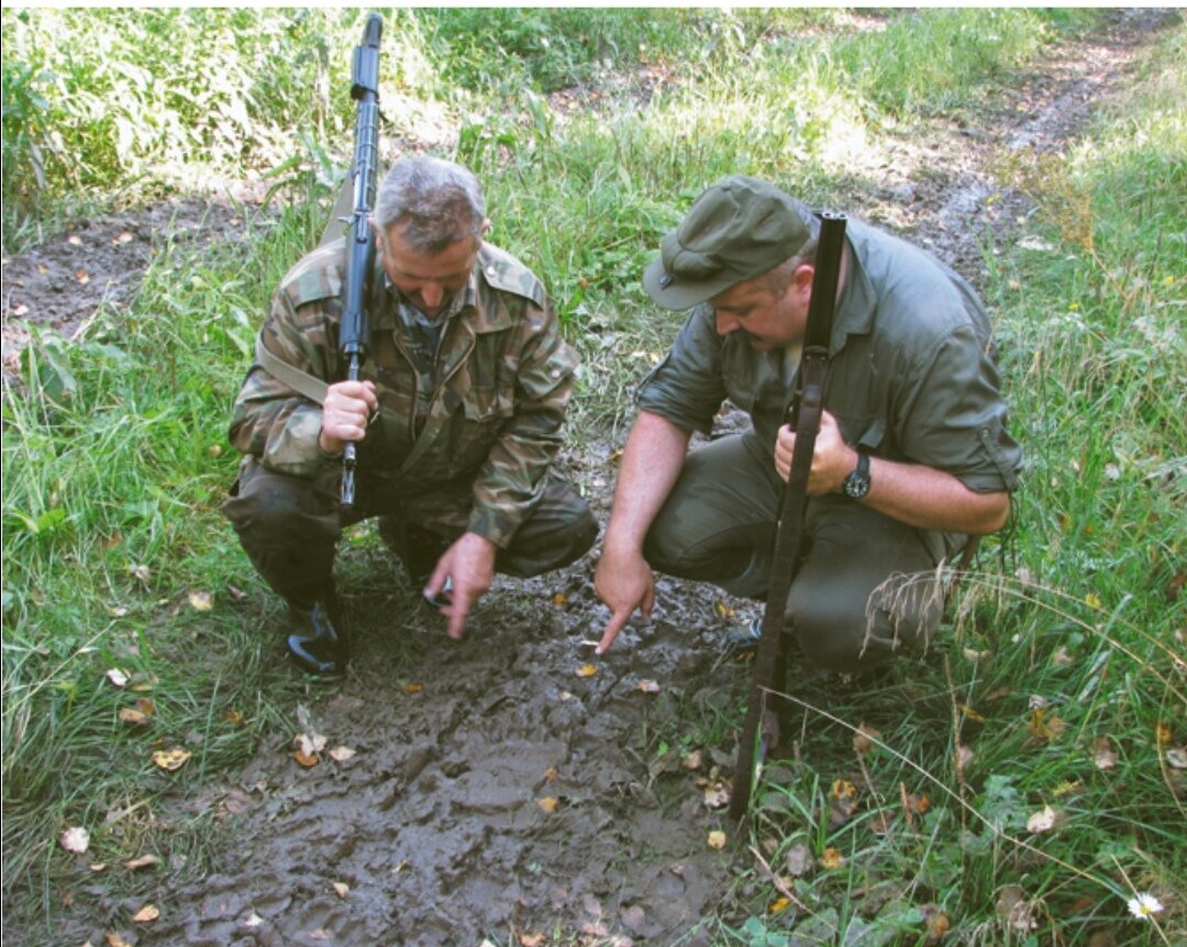 Три основных способа добычи медведя