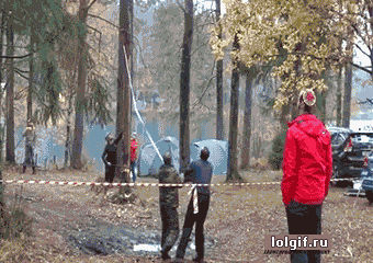 Жизненные гифки из сети 