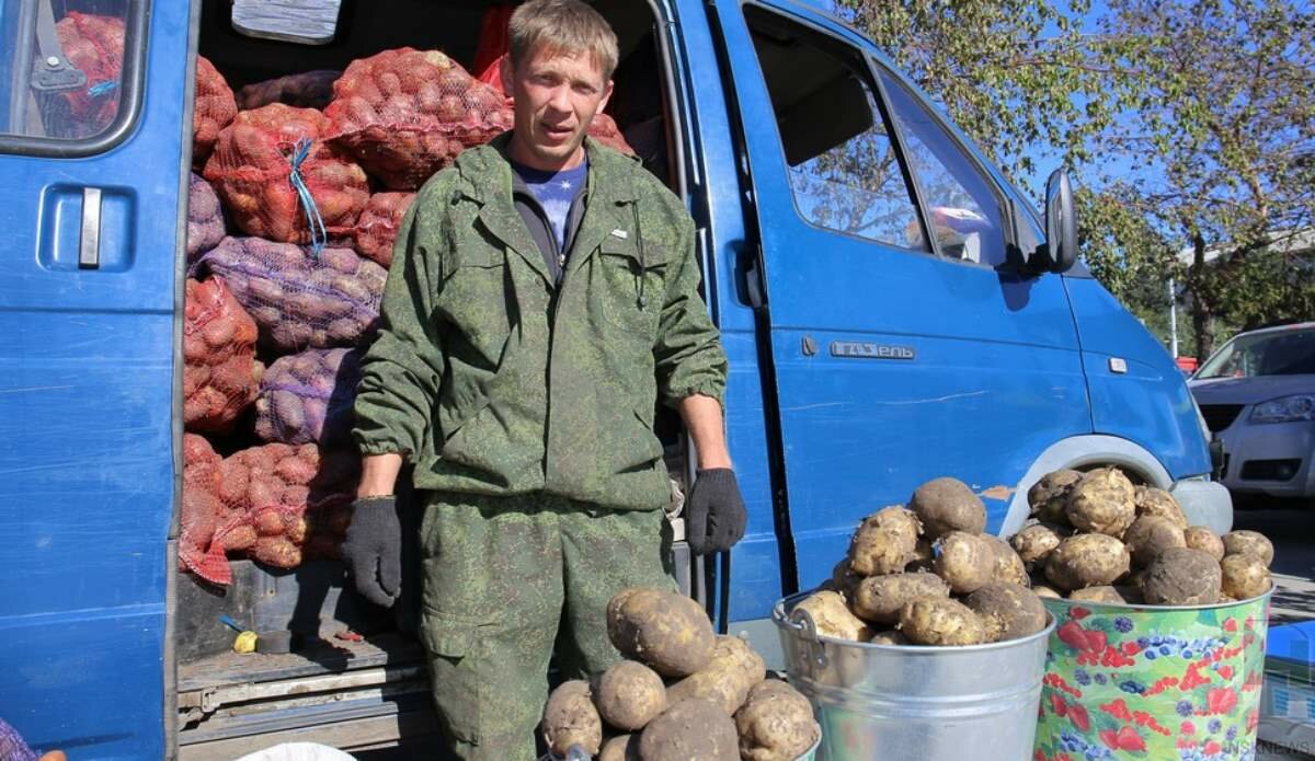 А вот наш фермер картошечку привёз. На сколько магазинов сети Х5 её хватит и на какое время? А давать суперскидки за объём, которого у него и нет, - станет? Возврат заберёт? И сертификатов у него полно наверное.... Да он сам первый скажет сетям, - работать на ваших условиях? Да ну нафиг, я лучше на рынок или по квартирам вразнос торговать буду!  (из свободных источников).