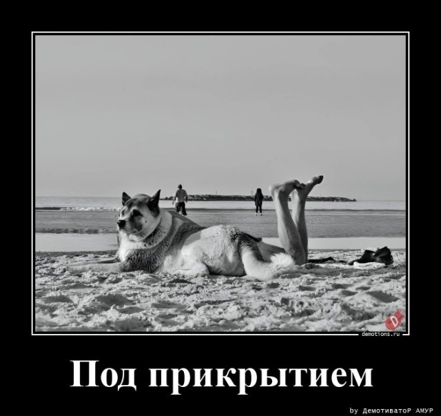 Демотиваторов свежая порция: «В этом доме…» 