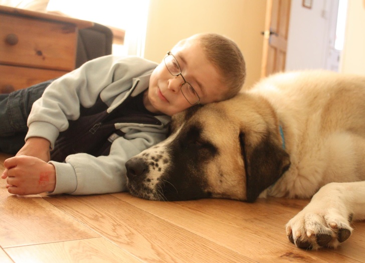 Иногда кажется, что у нас внутри панцирь — ничем не пронять... воспитание,Дети,Жизнь,Истории,проблемы