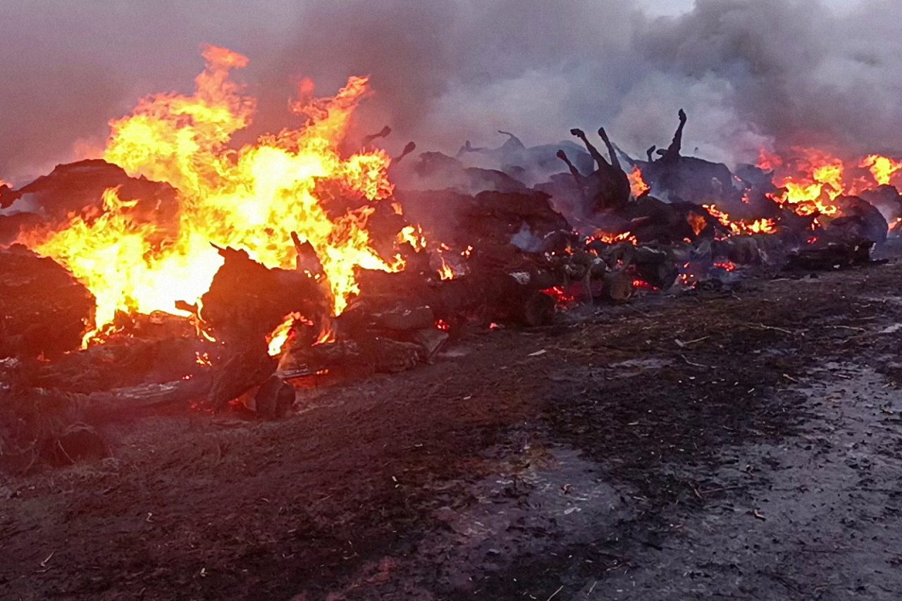  из открытых источников