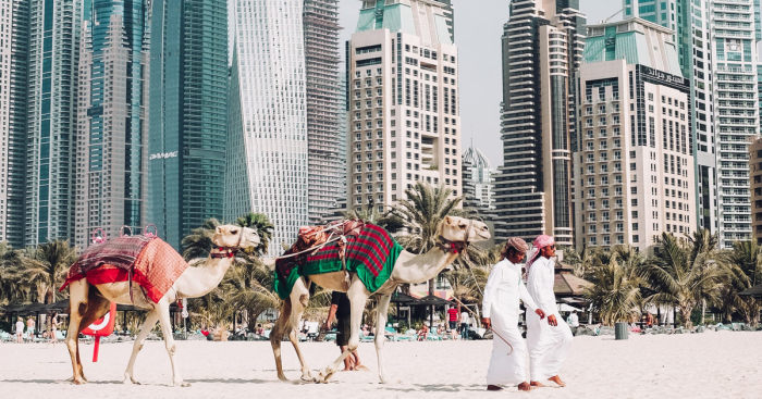 Программа «Умный город»: как Дубай за три года станет самым современным мегаполисом в мире архитектура