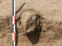 На севере Египта обнаружены уникальные артефакты эпохи неолита