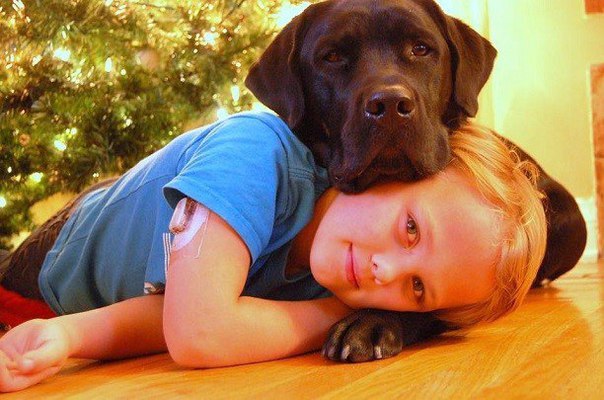 Эта удивительная собака каждый день спасает жизнь своего 7-летнего хозяина