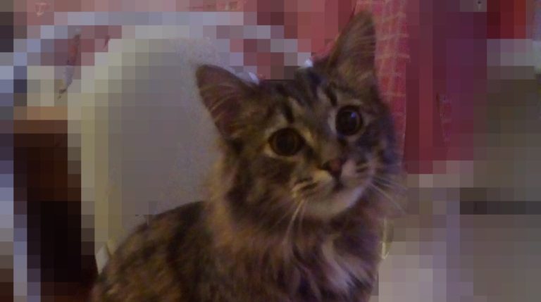 BeFunky-collage (29)