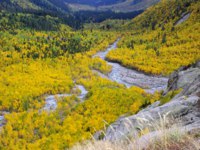 Россия. Домбайская поляна. Landscape of the golden autumn in October in Dombay, Caucasus. Фото andrey_001 - Depositphotos