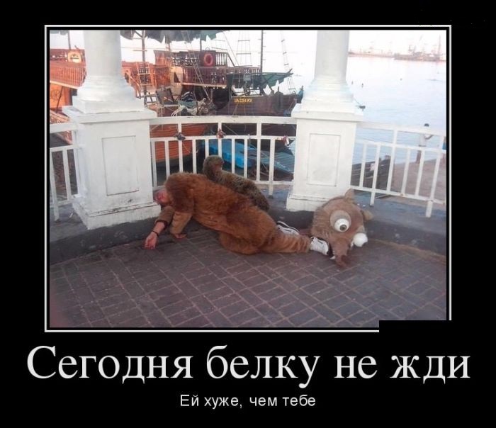 Вы хотите шуток? Их есть у меня!