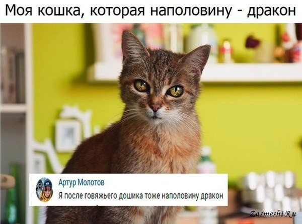 Смешные комментарии из социальных сетей соцсети, юмор