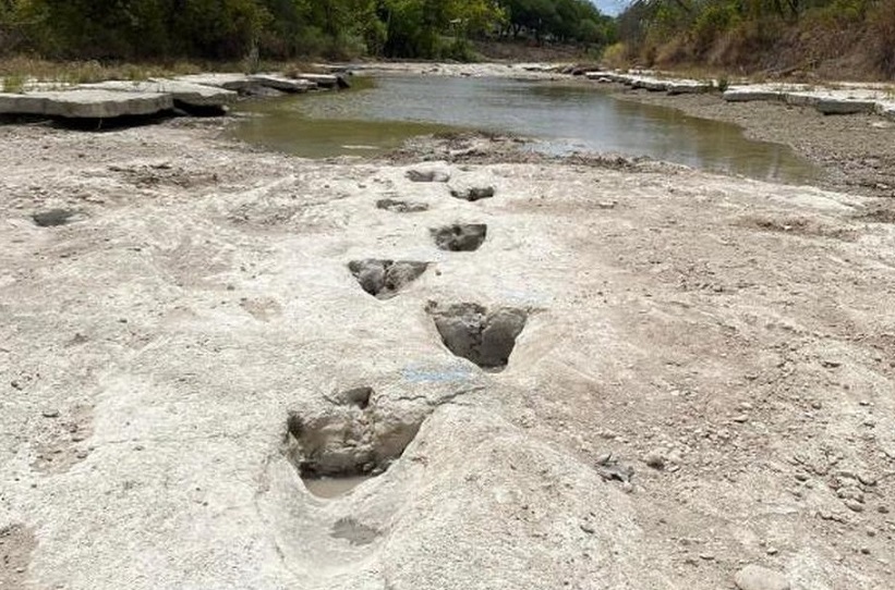 Следы динозавров возрастом 113 миллионов лет обнаружили в Техасе