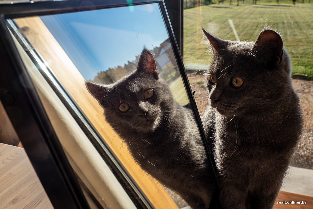 Помните семью из микродома на 16 «квадратах»? Посмотрите, какой удивительный коттедж она построила Помните семью из микродома на 16 «квадратах»? Посмотрите, какой удивительный коттедж она построила архитектура