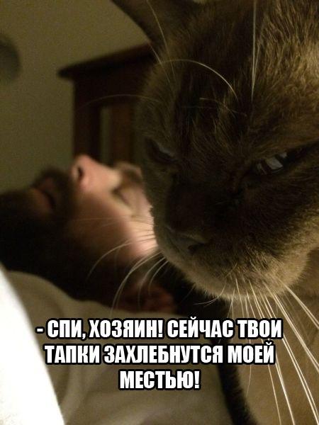 Забавные картинки с надписями со смыслом ( Забавные картинки с надписями со смыслом (