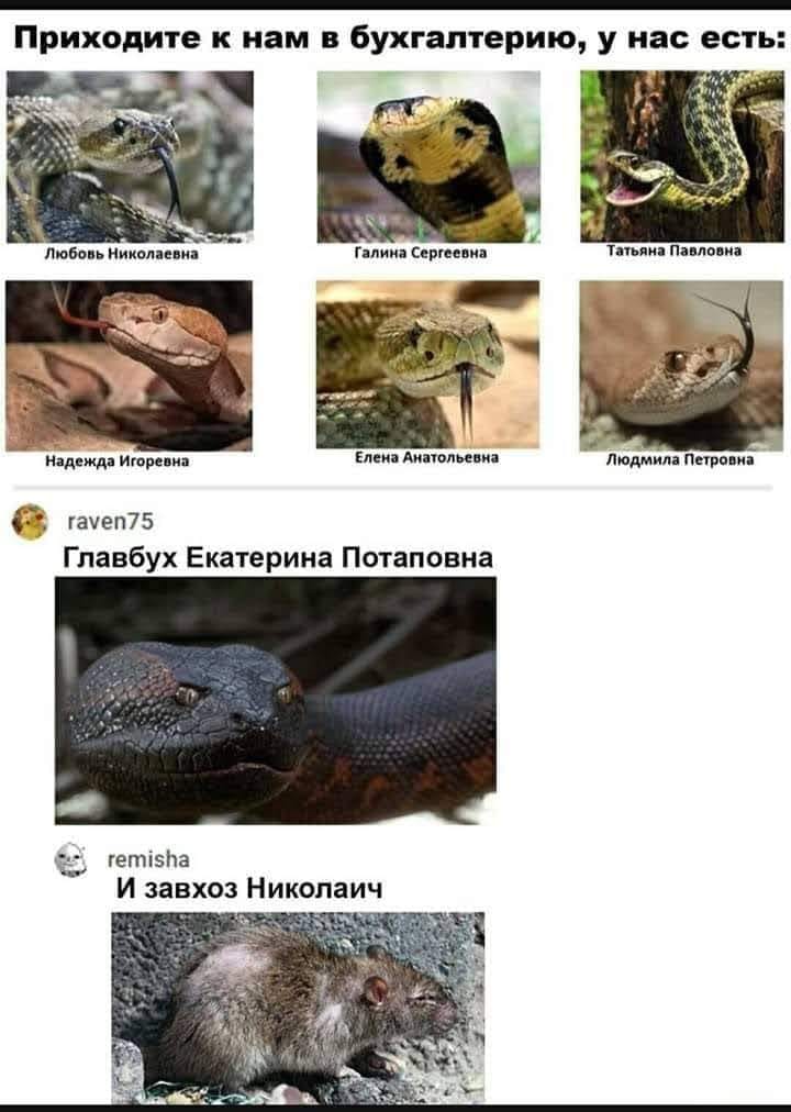 Юмор из интернета 702 позитив,смех,улыбки,юмор